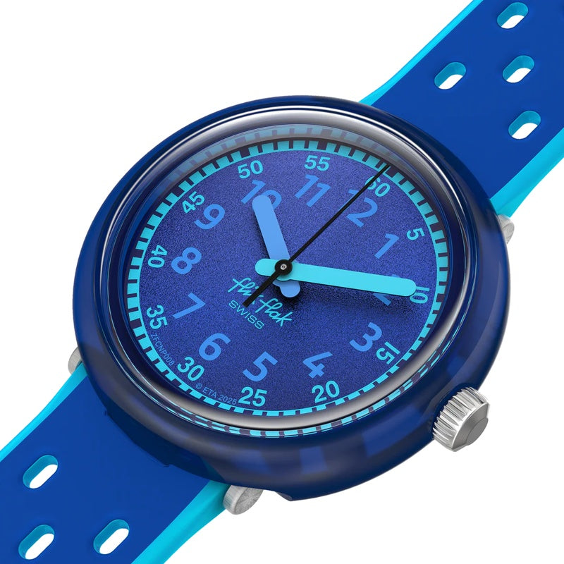 ZFCNP008